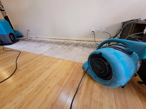 Reliable Basement Flood Cleanup contractor in Harrisville, OH by Hirex Water Damage