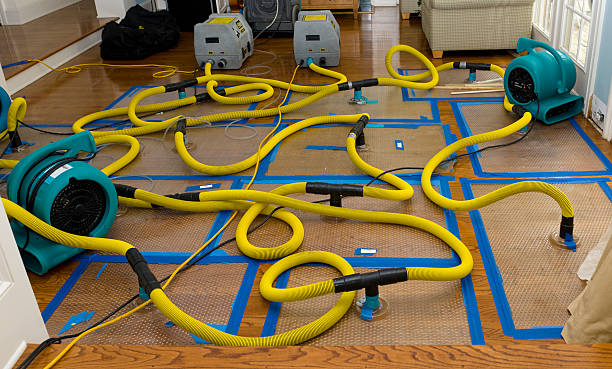 Professional Basement Flood Cleanup technician working in Harrisville, OH