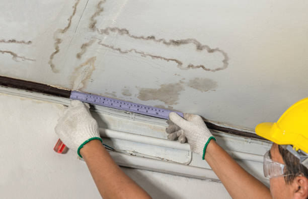 Affordable Water Damage Repair solutions in Harrisville, OH